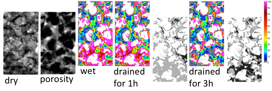 Enlarged view: Water uptake in wood presents various wetting patterns, as imaged with neutron radiographs. Those patterns are clearly related to the location of earlywood vs latewood, as well as to the available paths.