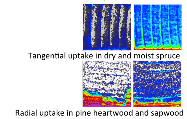 Water uptake in wood presents various wetting patterns, as imaged with neutron radiographs. Those patterns are clearly related to the location of earlywood vs latewood, as well as to the available paths.
