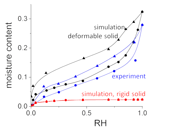 Enlarged view: sorption